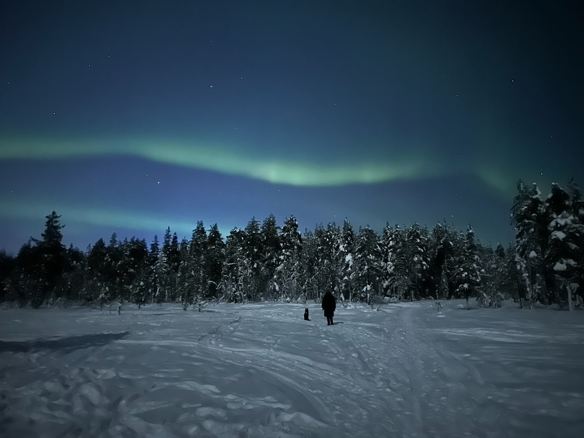 Lapland Silence