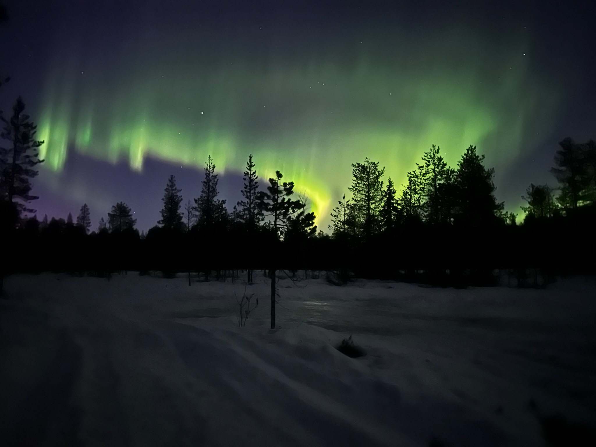 Lapland Silence