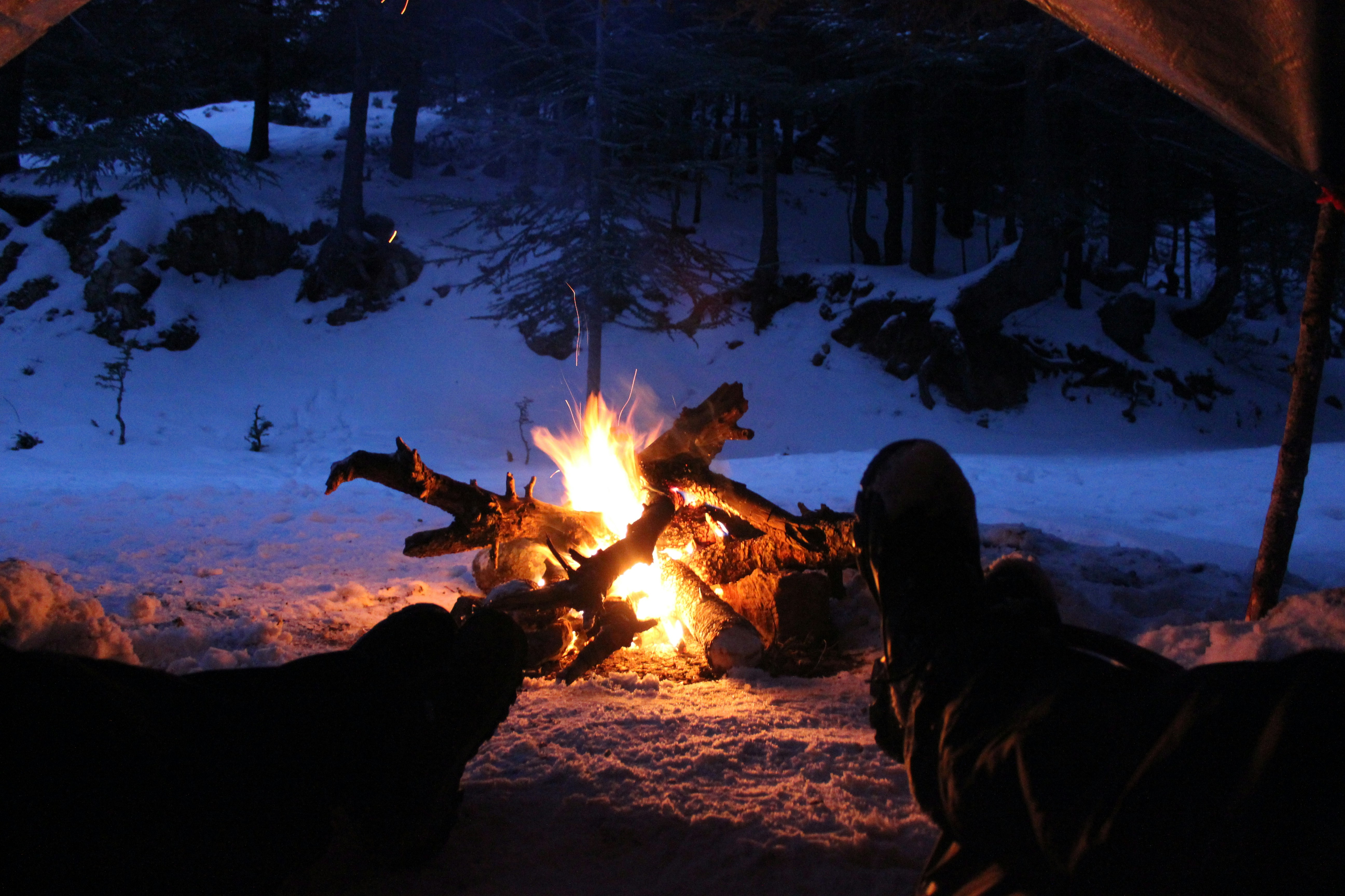 Aurora Hunt with Warm Hut