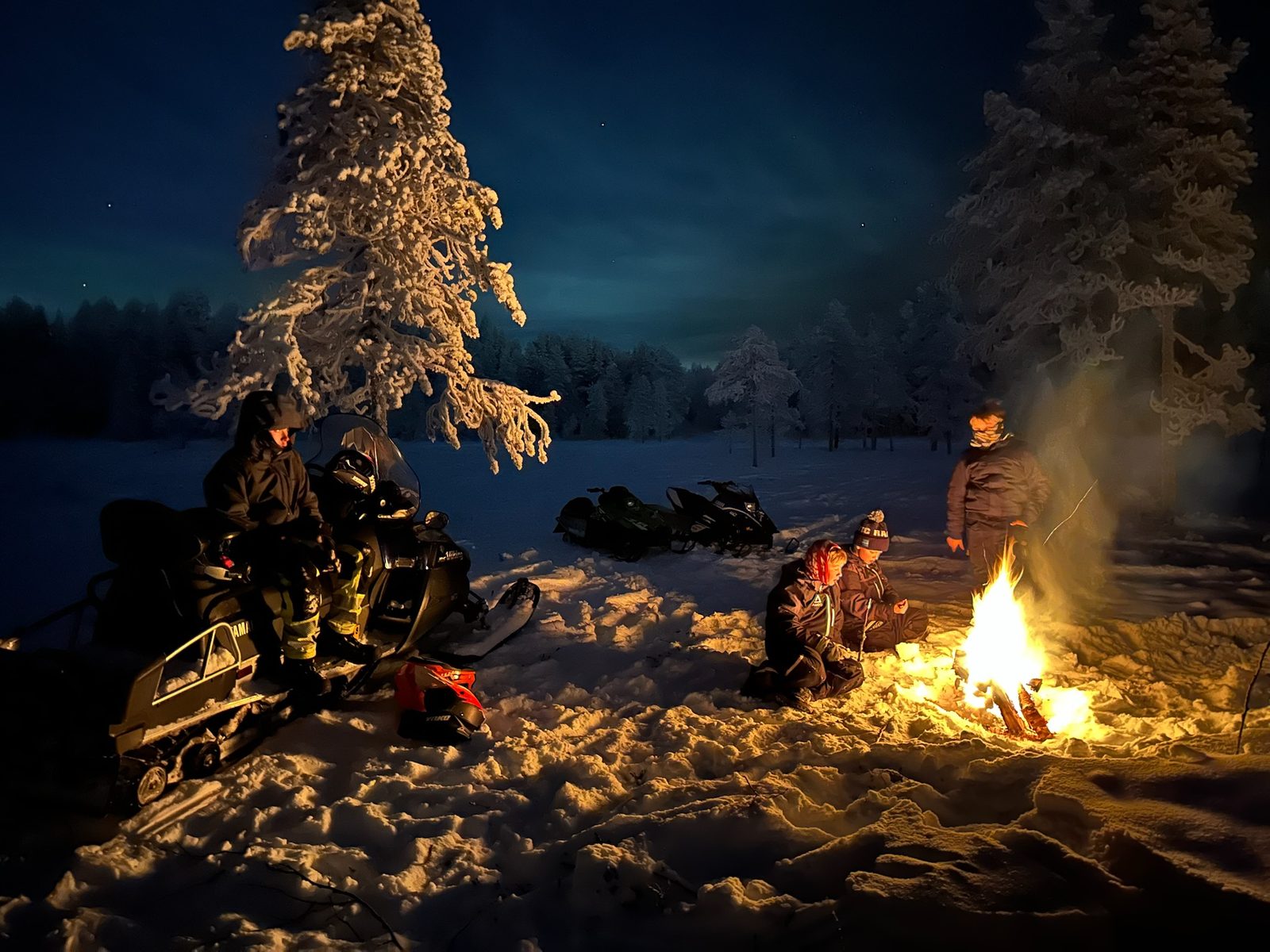Talvimetsä illalla
